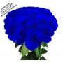 Синие розы, Синяя роза
